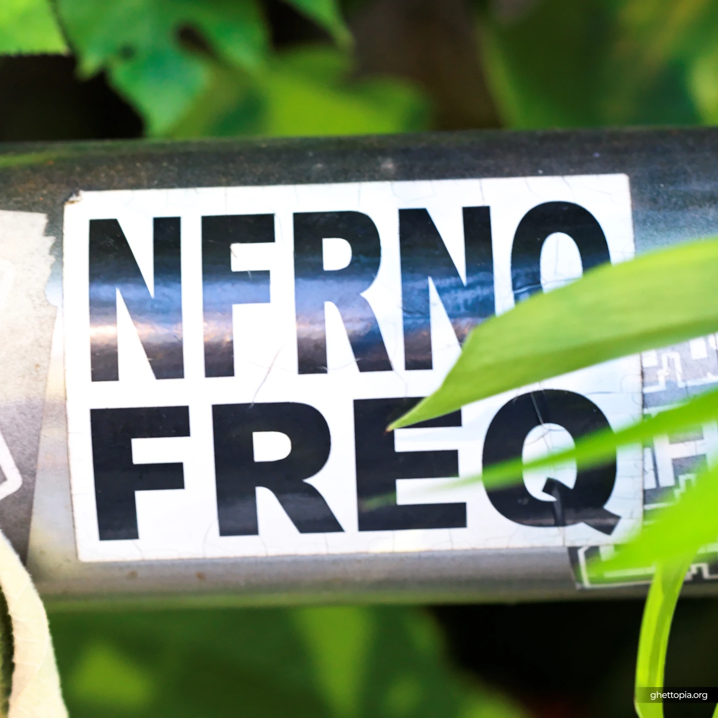 NFRNO FREQ