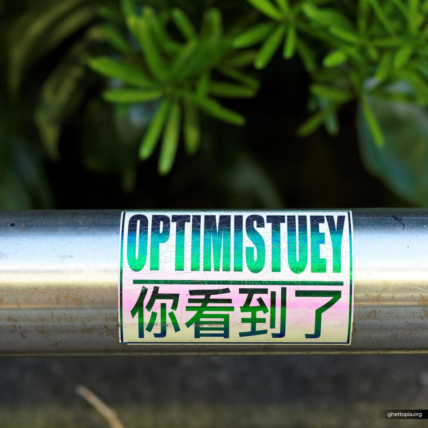 OPTIMISTUEY 你看到了