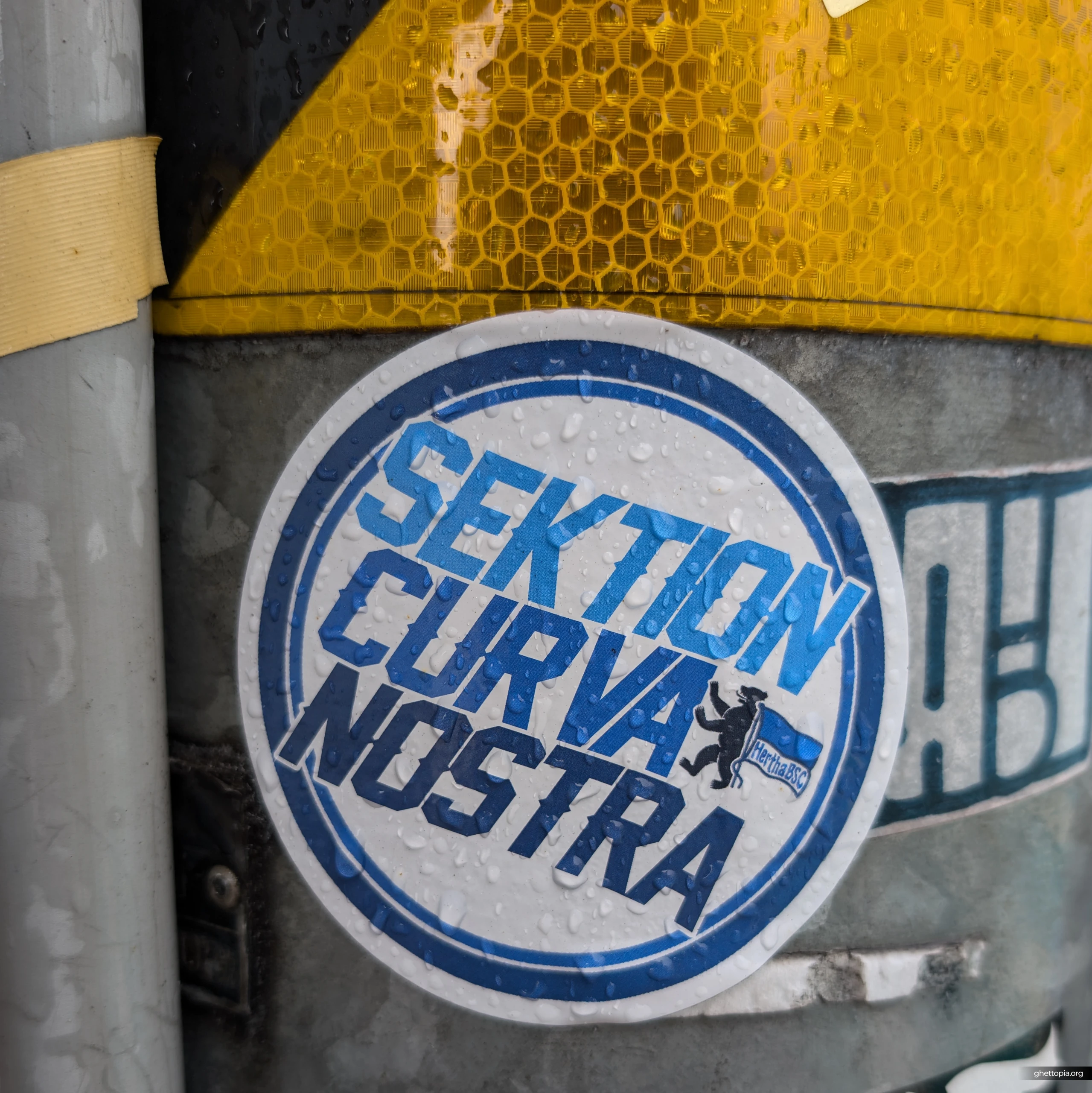 SKETION CURVA NOSTRA HERTHABSC