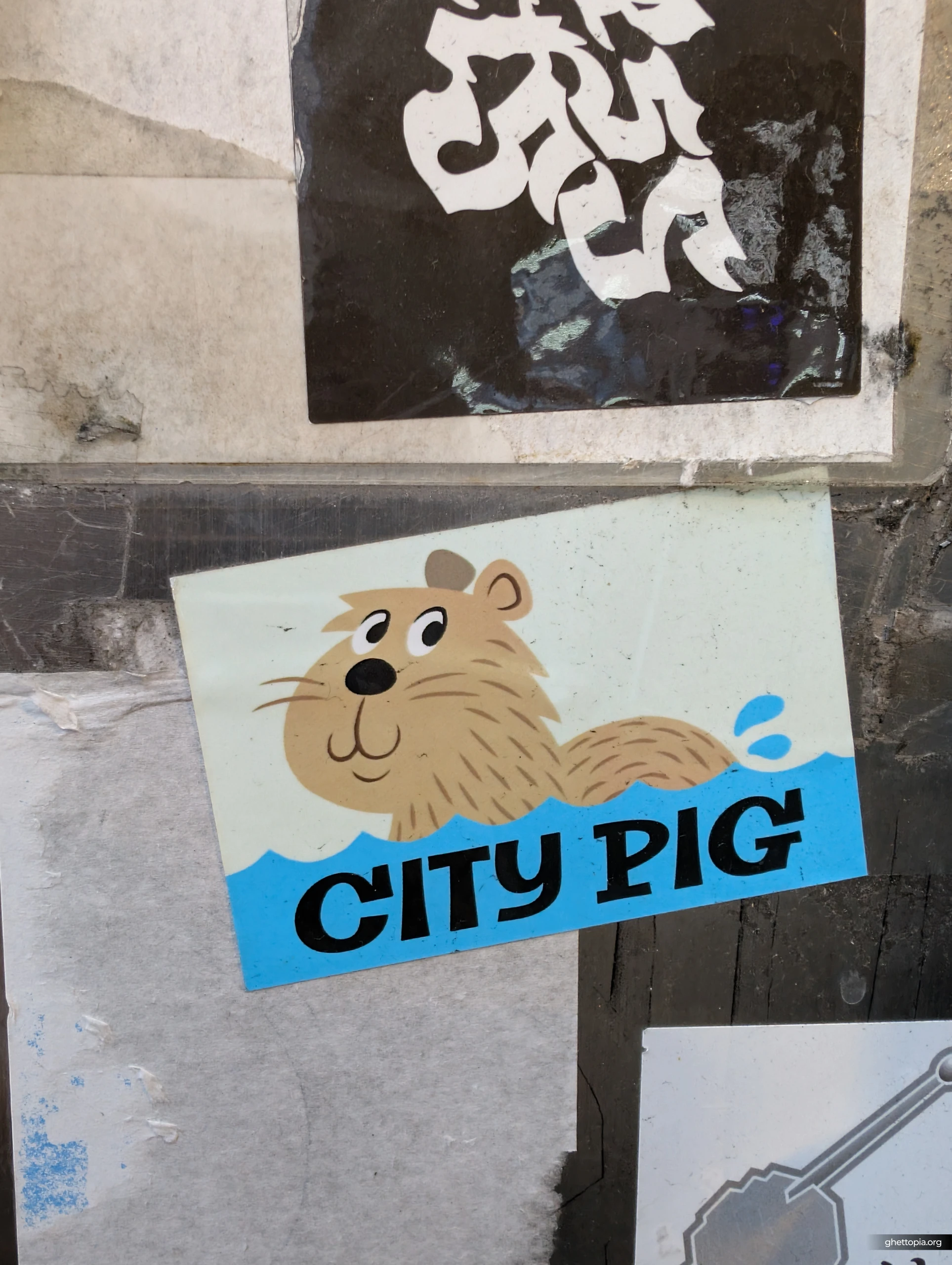 CITY PIG